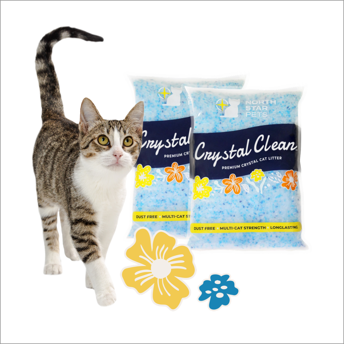 Importance Of A Clean Litter Box