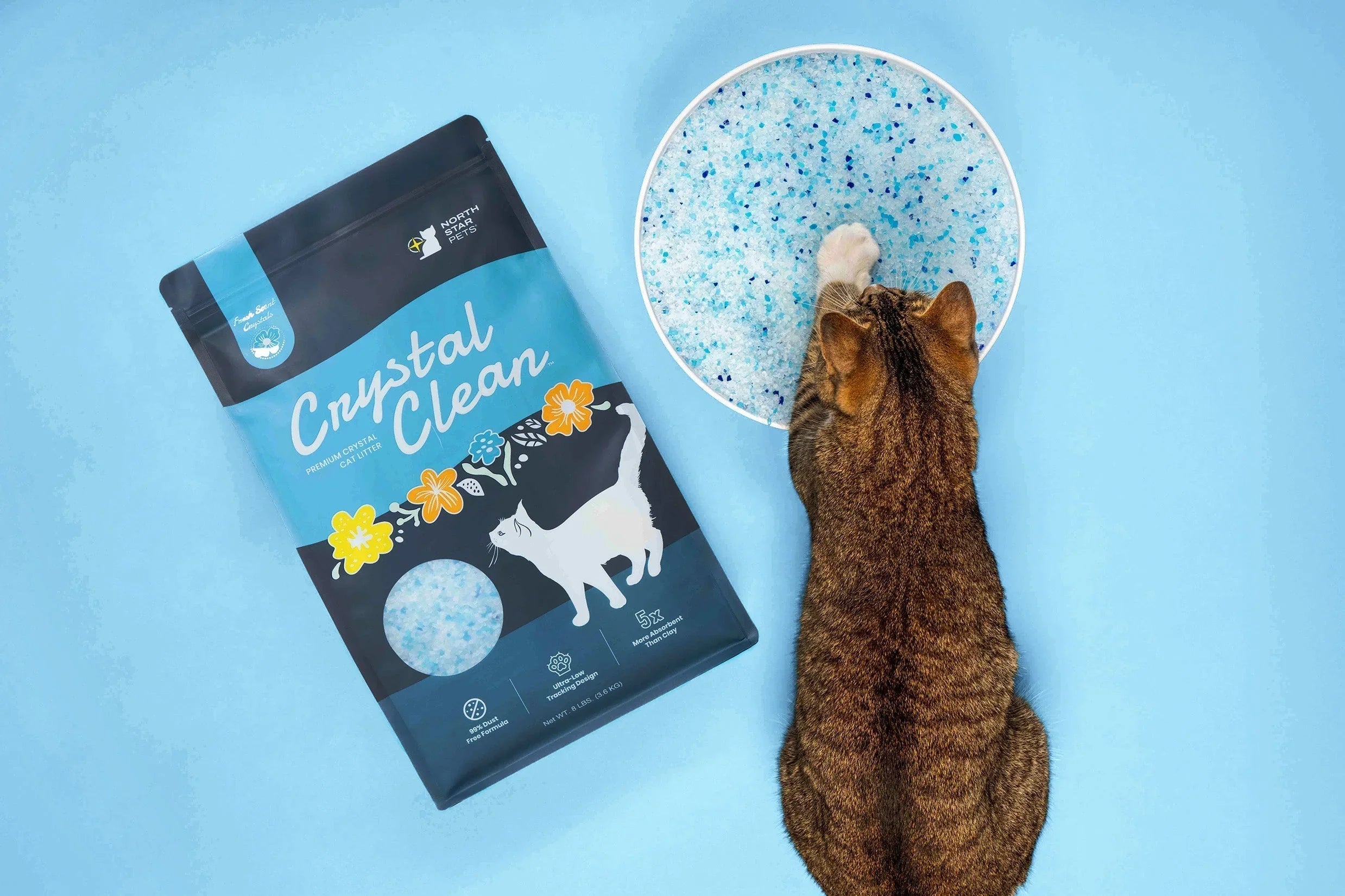 Tabby cat next to Crystal Clean premium non-clumping crystal cat litter in bowl and blue packaging