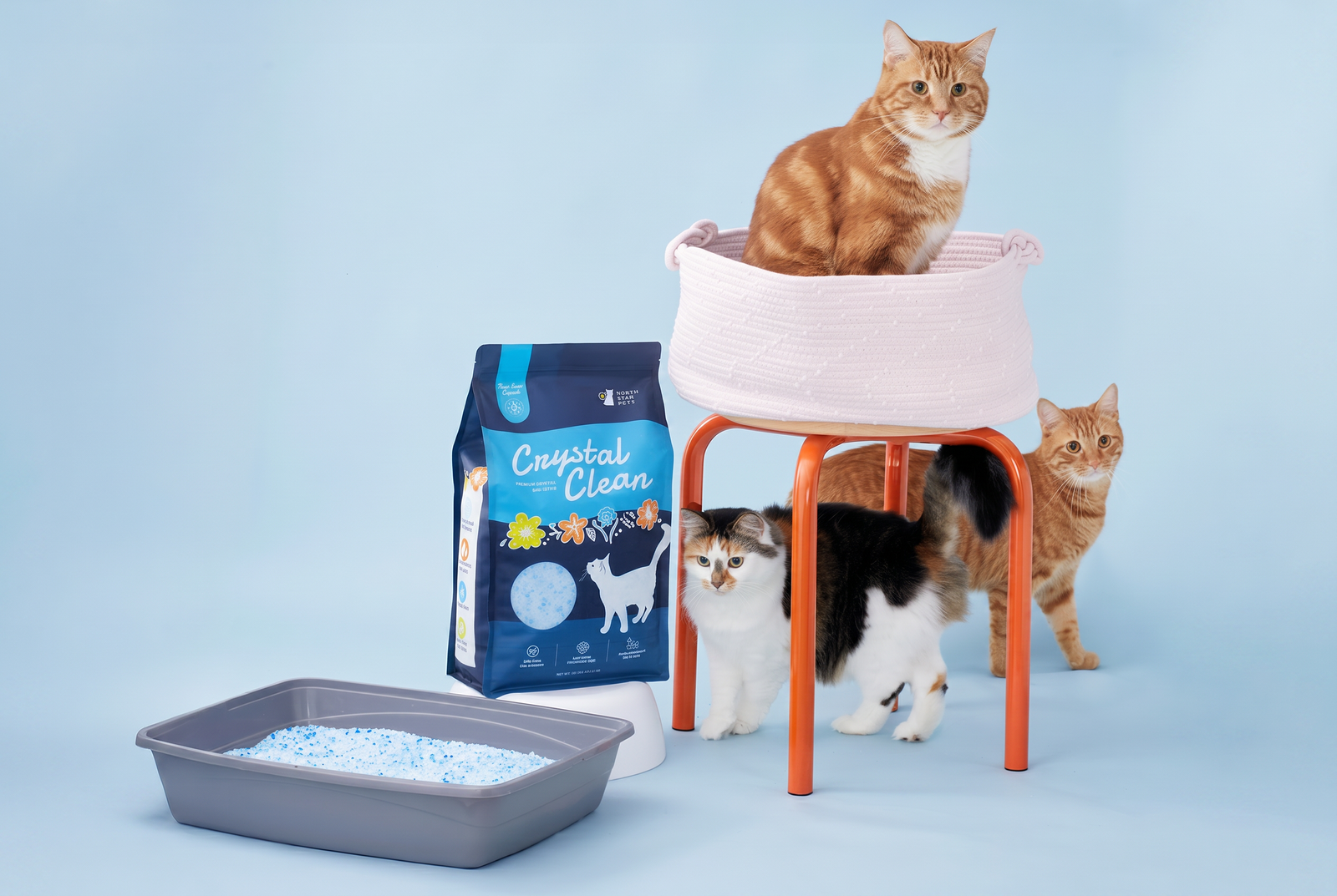 Crystal Cat Litter: The Complete Guide.