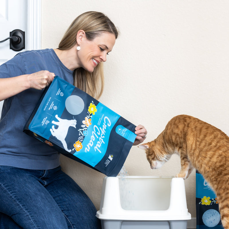 Woman pouring crystal clean from a bag into a bowl with a cat looking into it. 