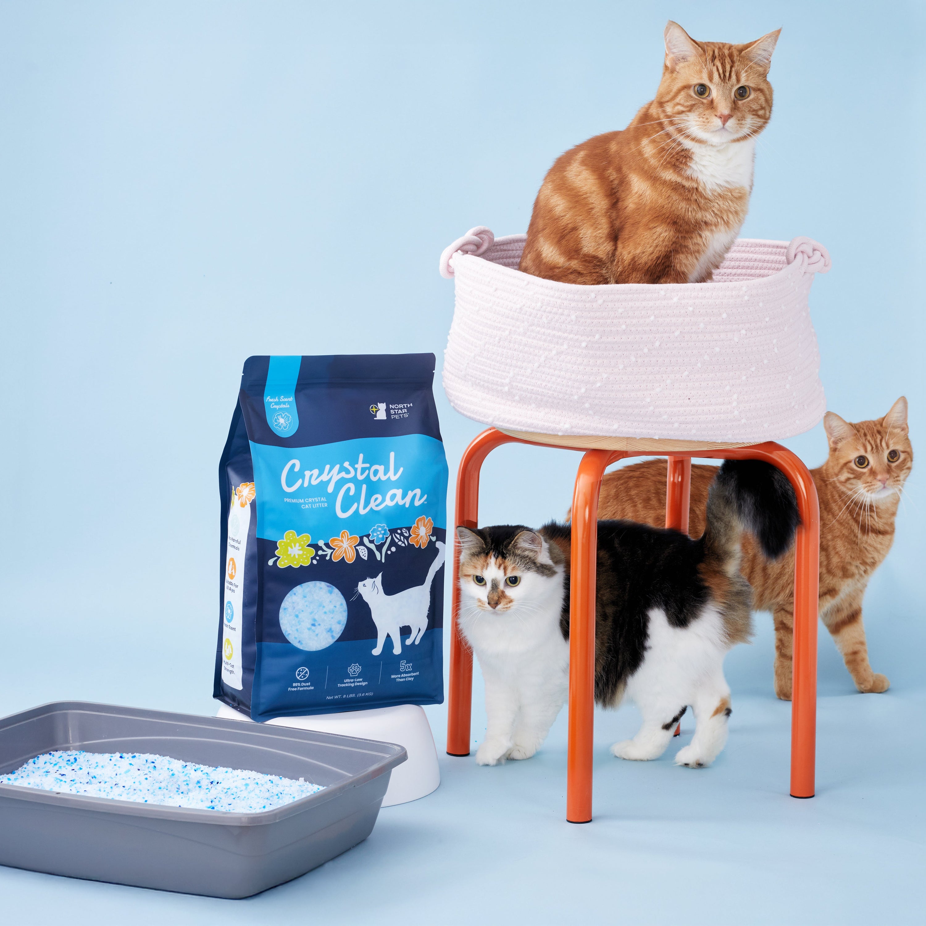 Three cats with Crystal Clean litter on a blue background