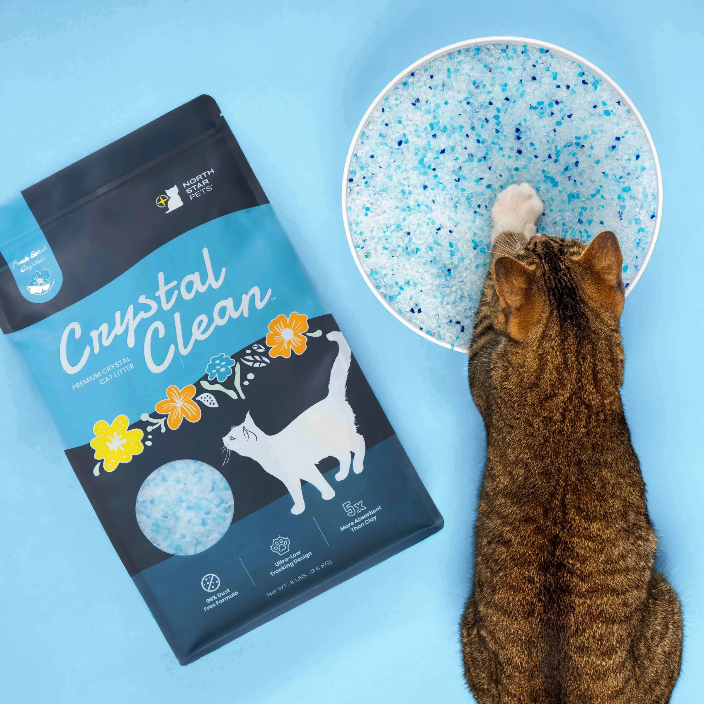 Cat next to a bag of non-clumping Crystal Clean crystal cat litter and a bowl filled with blue and white granules