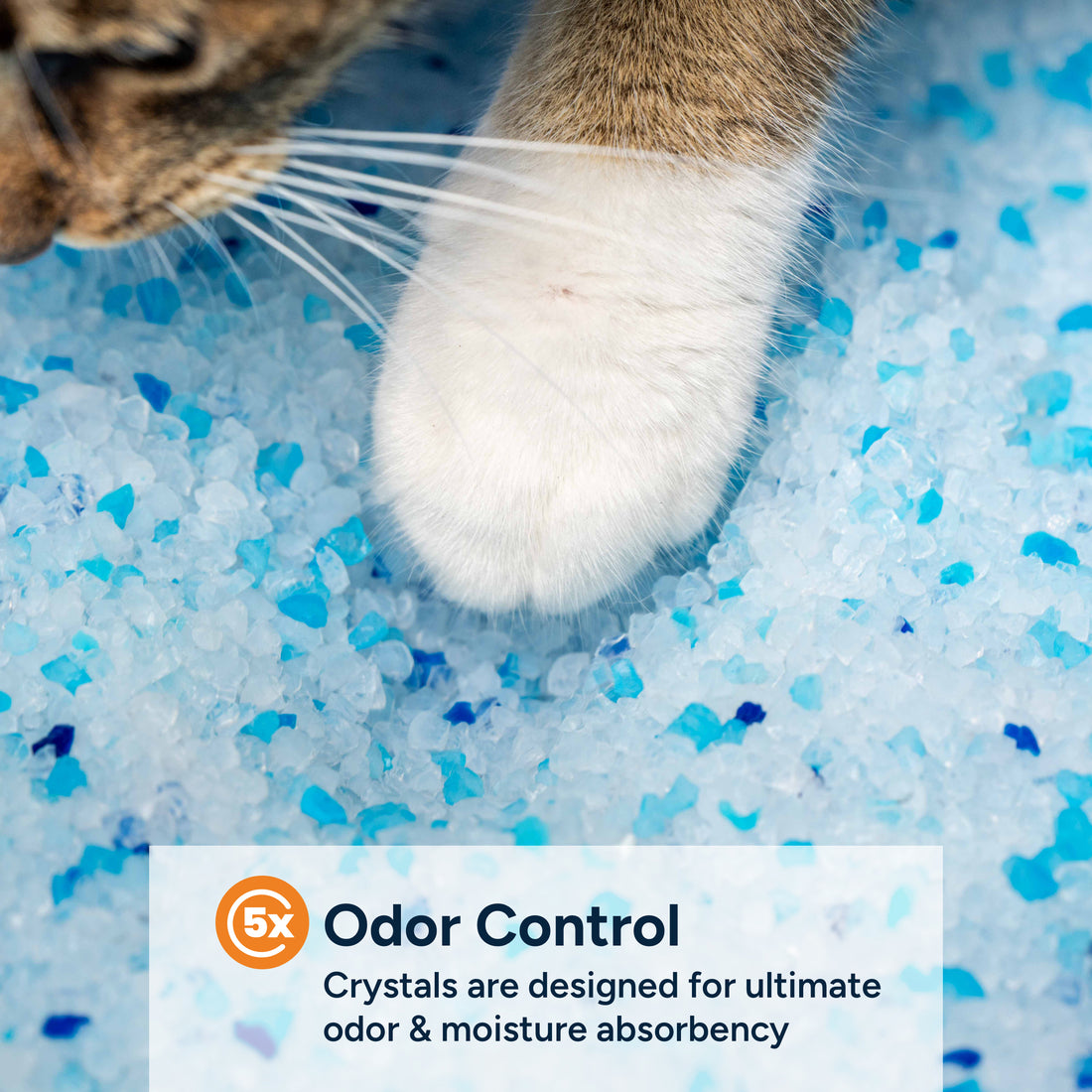Crystal Clean Cat Litter