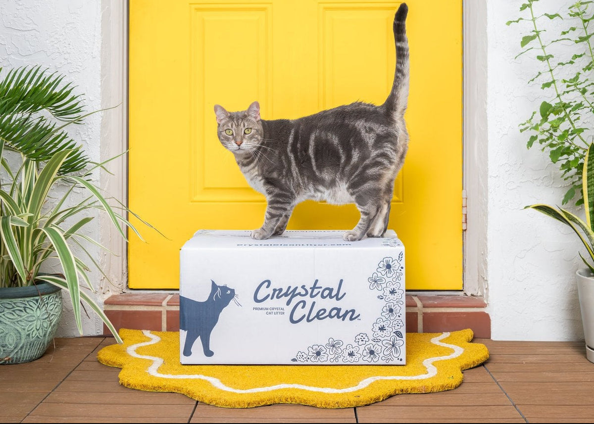 Litter that smells better. Confirmed by the toughest critic.
