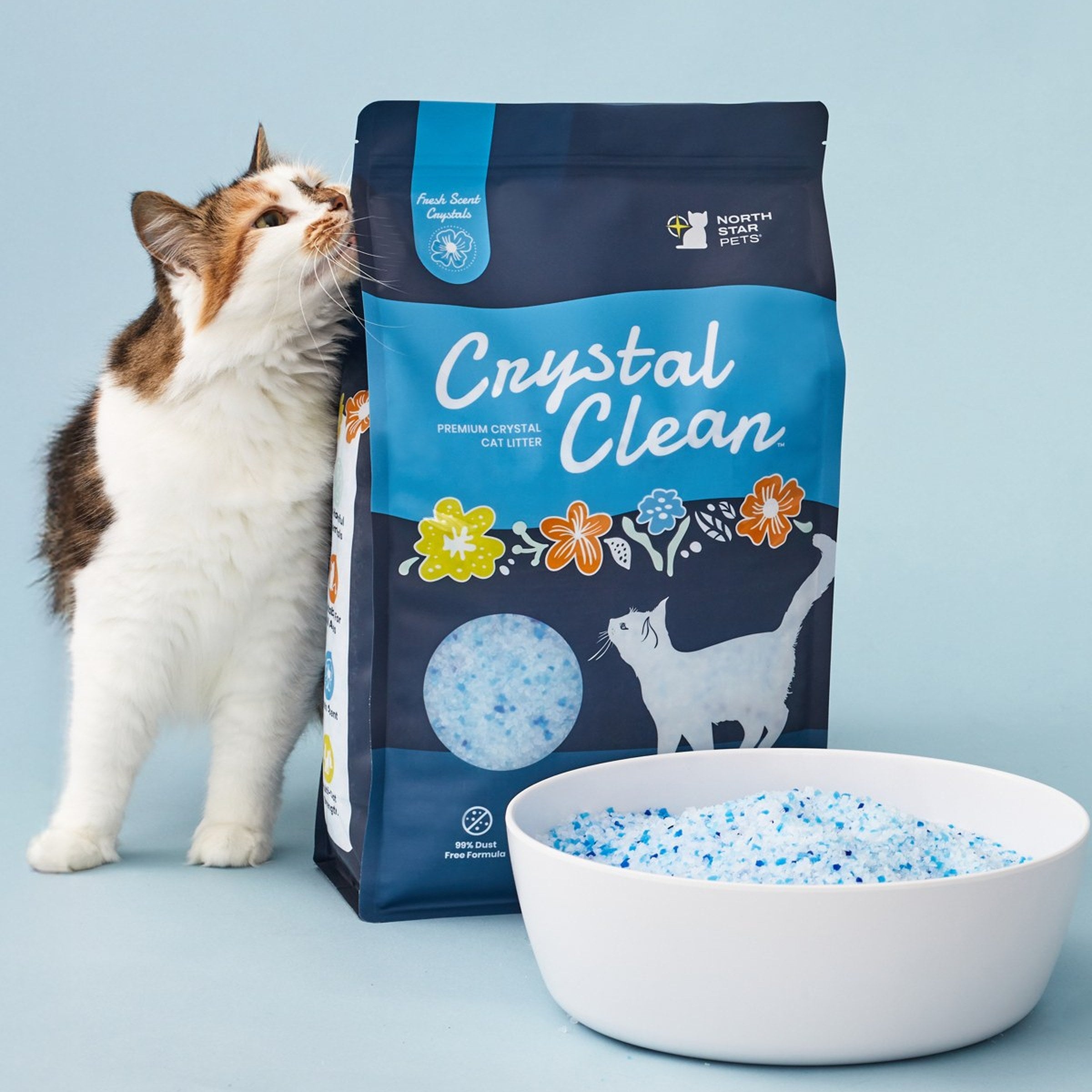 Cat standing next to a bag of Crystal Clean cat litter with a bowl of litter in front on a light blue background